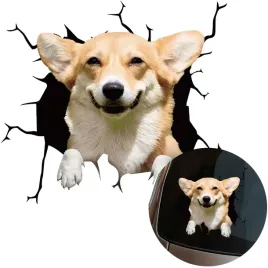 naklejka-grafika-na-samochod-zbita-szyba-wygladajacy-pies-corgi-dog-15x165