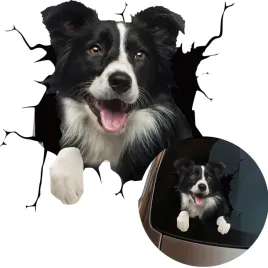 naklejka-grafika-na-samochod-zbita-szyba-wygladajacy-pies-collie-dog-15x16
