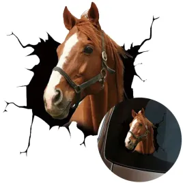 naklejka-grafika-na-samochod-zbita-szyba-wygladajacy-kon-konik-horse-15x15