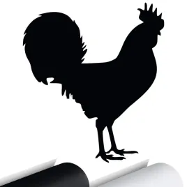 naklejka-na-samochod-kogut-chicken-kurczak-13x15