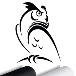 naklejka-na-samochod-auto-sowa-owl-ptak-bird-15x11