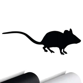 naklejka-na-samochod-mysz-myszka-mouse-15x5