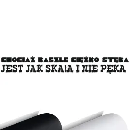 naklejka-na-samochod-smieszne-naklejki-6x46