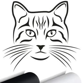naklejka-na-samochod-kot-kotek-cat-kitten-15x13