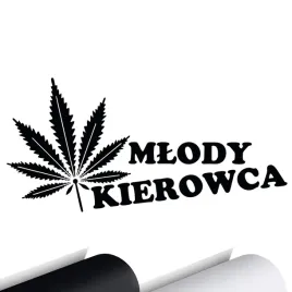 naklejka-na-samochod-mlody-kierowca-listek-7x15