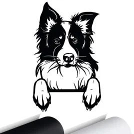 naklejka-na-samochod-border-colie-pies-dog-15x9