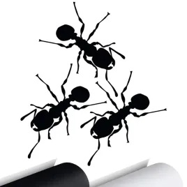 naklejka-na-samochod-mrowki-ant-mroweczki-15x13
