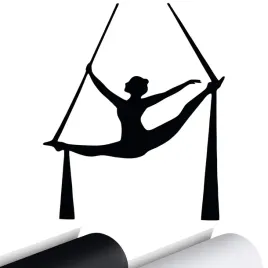 naklejka-na-auto-akrobatyka-aerial-dancer-13x15