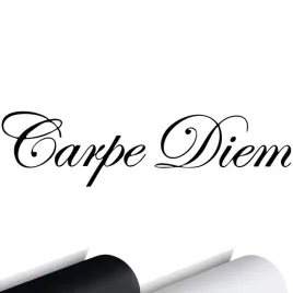 naklejka-na-samochod-carpe-diem-chwytaj-dzien-4x15