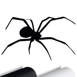 naklejka-na-samochod-auto-pajak-spider-9x15-cm