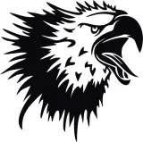 naklejka-na-samochod-orzel-eagle-head-14x15-stan-nowy