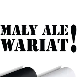 naklejka-na-samochod-auto-maly-ale-wariat-16x6