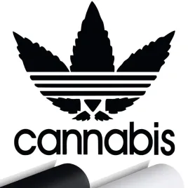 naklejka-na-samochod-auto-cannabis-konopia-15x15