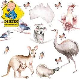 naklejka-dekoracyjna-na-sciane-zwierzeta-australia-115-x-73-cm