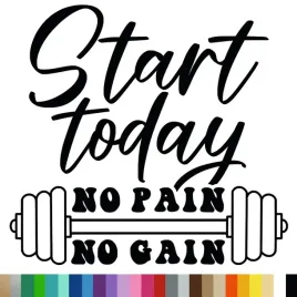 naklejka-dekoracyjna-na-sciane-napis-start-today-no-pain-no-gain94x100-cm
