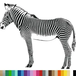naklejka-dekoracyjna-na-sciane-zebra-wild-animal-115x100cm