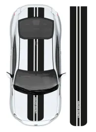 pasy-na-samochod-limited-edition-16-5-16cm-x-45mb