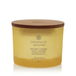 swieca-zapachowa-chesapeake-bay-candle-strength-and-energy-3-knoty-duza