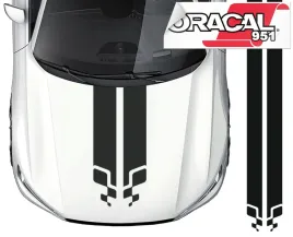 paski-sportowe-renault-rs-naklejka-pasy-2x20-45mb