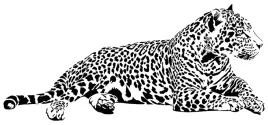 naklejka-na-sciane-dziki-kot-gepard-98x44cm