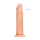 dong-without-testicles-25-cm-szerokosc-produktu-25-cm