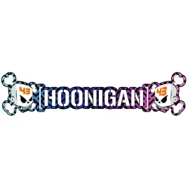 naklejka-na-samochod-hoonigan-czacha-czaszka-10x44