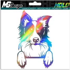 naklejka-border-colie-pies-dog-hologram