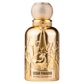 auraa-desire-cedar-paradise-ekstrakt-perfum-spray-100ml