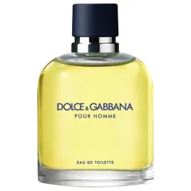 dolce-and-gabbana-pour-homme-woda-toaletowa-spray-125ml