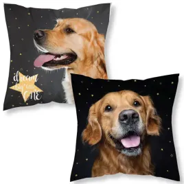 poszewka-na-poduszke-40x40-labrador-mf-009