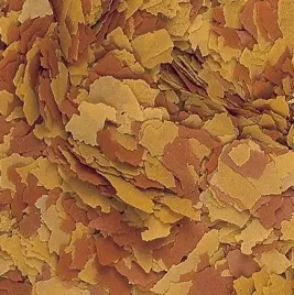 tropical-vitalityandcolor-5000ml-tropical