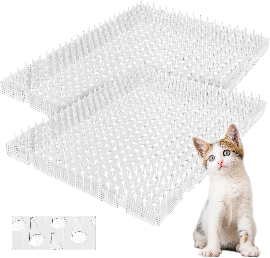 kolce-przeciwko-kotom-kyrieval