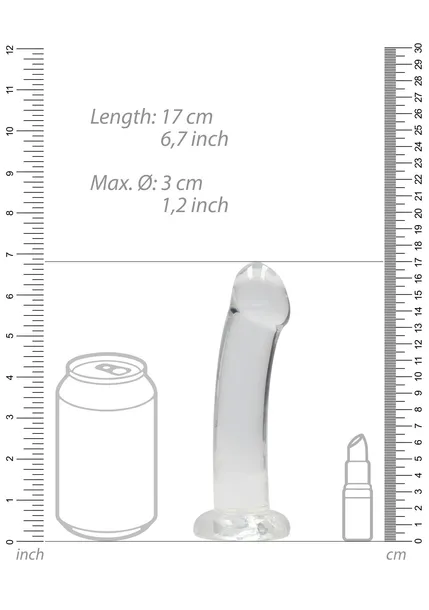 non-realistic-dildo-with-suction-cup-67-17-cm