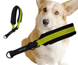 obroza-polzaciskowa-zielona-odblaskowa-miekka-dla-psa-24-30cm