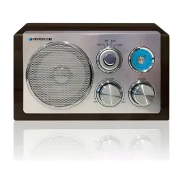 radio-sieciowe-fm-blaupunkt-rx-18-1