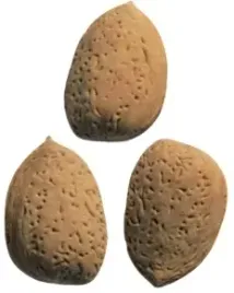 gumki-do-mazania-migdaly-x-3-szt