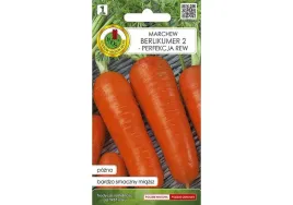 marchew-jadalna-berlikumer-2-perfekcja-rew-2g-nswpd048