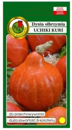 dynia-uchiki-kuri-2g-nswpd134
