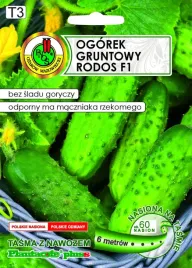 ogorek-gruntowy-na-tasmie-rodos-f1-6m-nswptn04