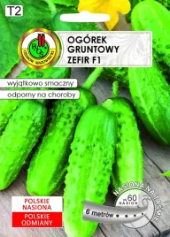 ogorek-gruntowy-zefir-f1-6m-nswpt028