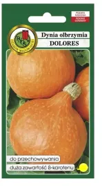 dynia-dolores-2g-nswpd131