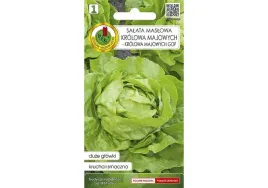 salata-glowiasta-maslowa-krolowa-majowych-krolowa-majowych-gof-05g-nswpd10