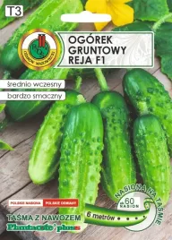 ogorek-gruntowy-reja-f1-6m-nswptn03