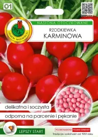 rzodkiewka-karminowa-nswpo005