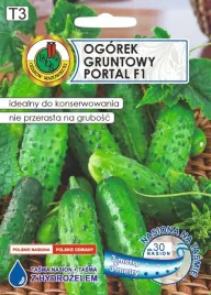 ogorek-gruntowy-portal-f1-na-tasmie-6m-nswpth03