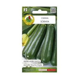 dynia-zwycz-cukinia-soraya-2g-nswpd020