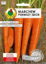 marchew-jadalna-na-tasmie-pierwszy-zbior-6m-nswpt022