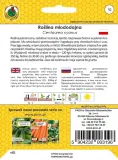 chaber-blawatek-1g-nsnmd002-rodzaj-rosliny-inny