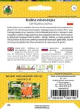chaber-blawatek-1g-nsnmd002-styl-ogrod-wiejski