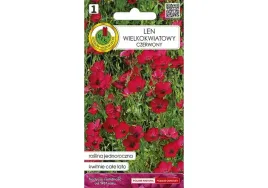 len-wielkokwiatowy-czerwony-03g-nskpm017